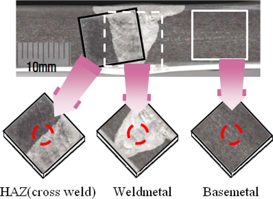 Fig. 3