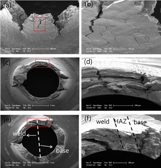 Fig. 12