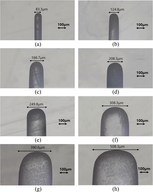 Fig. 8