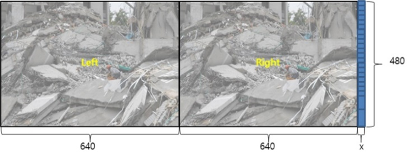 Fig. 10