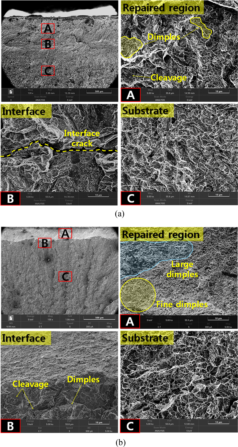 Fig. 10