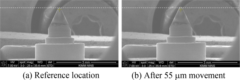 Fig. 20