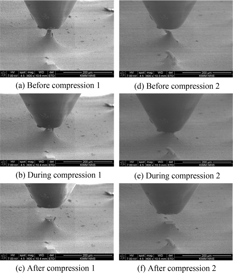 Fig. 21