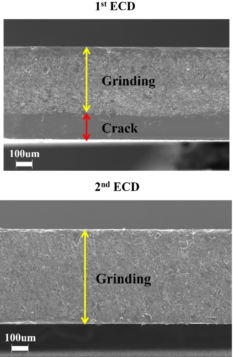 Fig. 10