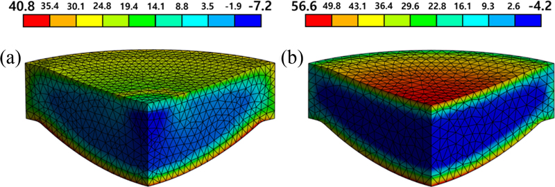 Fig. 10